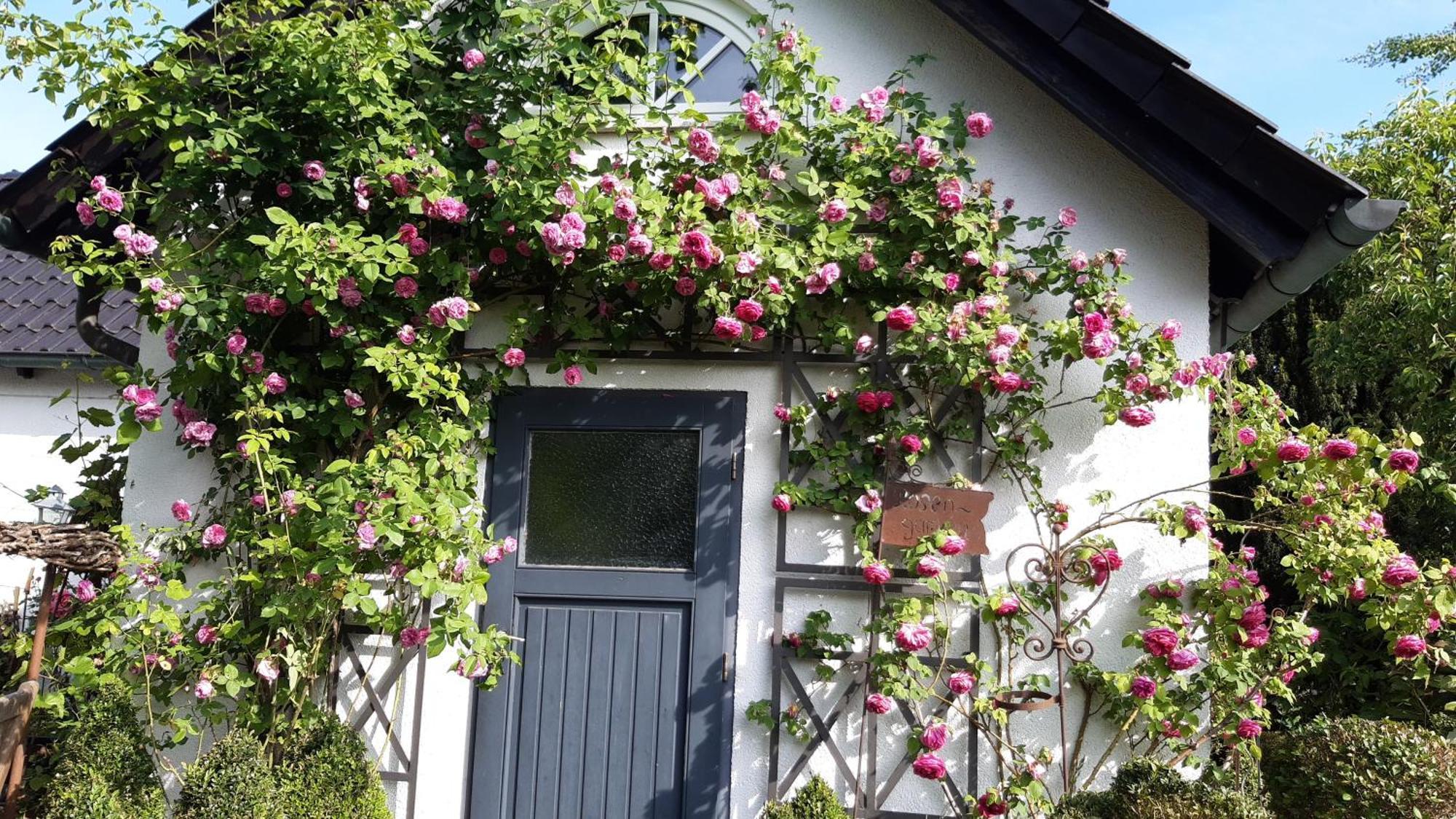 Tina'S Home Gütersloh Εξωτερικό φωτογραφία